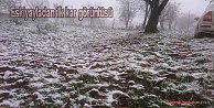 Pamukova'ya yılın ilk karı yağdı