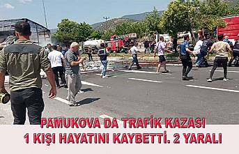 Pamukovayı Korkutan Trafik Kazasında 1 ölü 2 yaralı