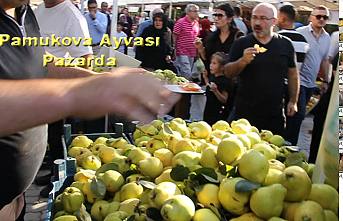 3 Günlük Pamukova Ayva Festivali bugün sona erdi.