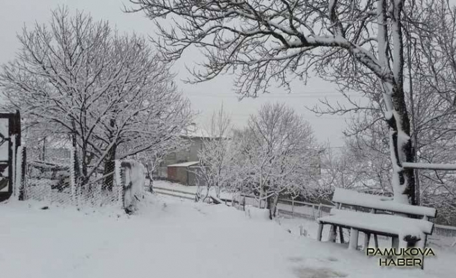 Son dakika…Pamukova Yükseklerine kar yağıyor