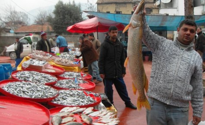Balıkçılar yeni Pazar yerinde