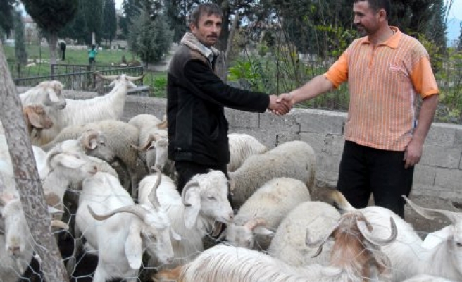 Kurban Pazarında Son Gün