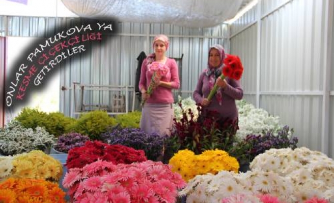 Pamukova’da gelişen Çiçekçilik önemli girdi sağlamaya başladı. 