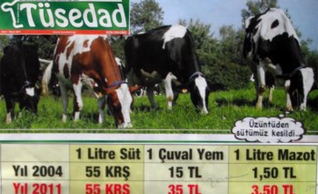 TÜSEDAD Dergisi 8. Sayısında süt fiyatlarının düşük oluşunu fıkra ile anlattı