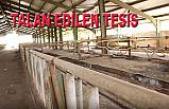 çobanlar 10 Milyonluk tesisleri talan ettiler.