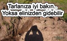 Bakımsız tarlalar ile bakmayan sahipleri tespit edilecek.
