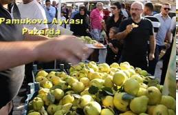 3 Günlük Pamukova Ayva Festivali bugün sona erdi.