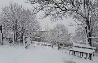 Son dakika…Pamukova Yükseklerine kar yağıyor