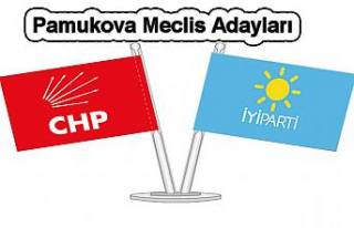 Pamukova CHP ve İYİ Parti Meclis Üyelikleri açıklandı.