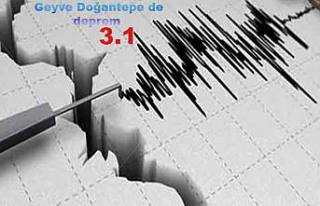 Geyve Doğantepe de 3.1 şiddetinde deprem oldu.