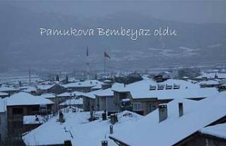 Pamukova’ya Doya Doya kar yağdı.