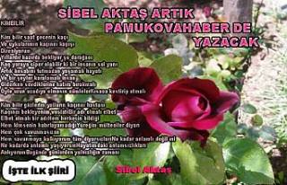 Sibel Aktaş o güzel şiirlerini Pamukovahaber de...