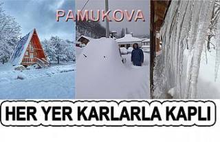 Ve Pamukova’ya da beklenen kar geldi