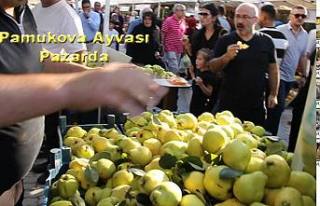 3 Günlük Pamukova Ayva Festivali bugün sona erdi.