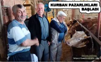 Kurbanlık Satışları başladı.