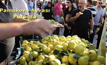 3 Günlük Pamukova Ayva Festivali bugün sona erdi.