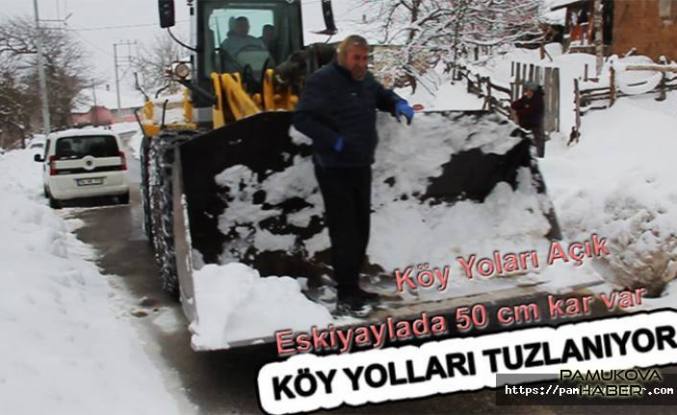 Pamukova da kar yağışı devam ediyor.