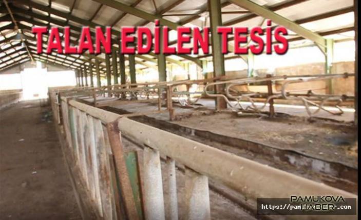 çobanlar 10 Milyonluk tesisleri talan ettiler.