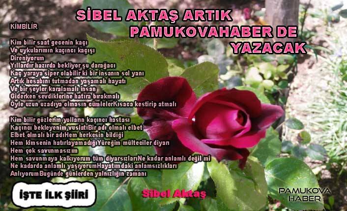 Sibel Aktaş o güzel şiirlerini Pamukovahaber de yazacak