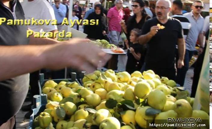 3 Günlük Pamukova Ayva Festivali bugün sona erdi.